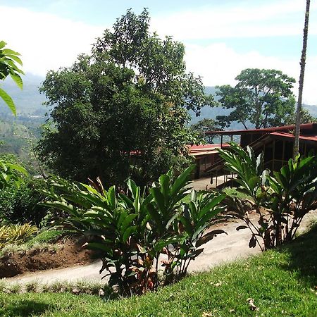 Green Mountain And Lodge Turrialba Esterno foto
