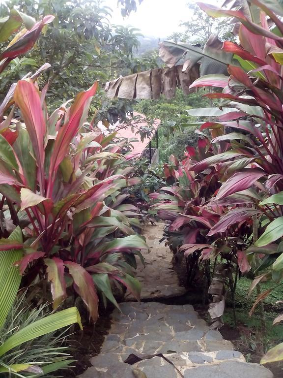 Green Mountain And Lodge Turrialba Esterno foto
