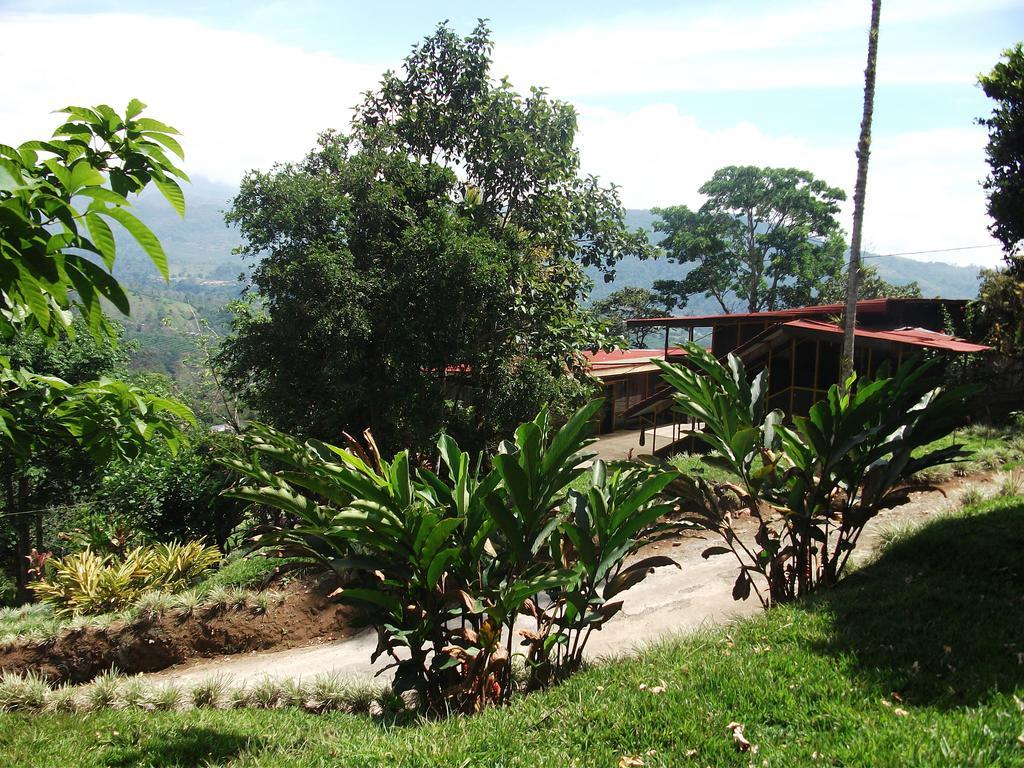 Green Mountain And Lodge Turrialba Esterno foto
