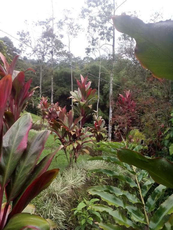 Green Mountain And Lodge Turrialba Camera foto