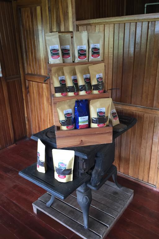Green Mountain And Lodge Turrialba Esterno foto