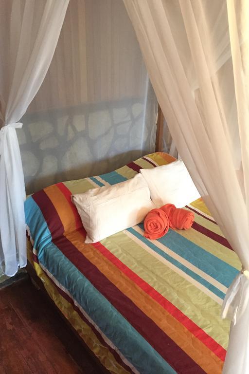 Green Mountain And Lodge Turrialba Esterno foto