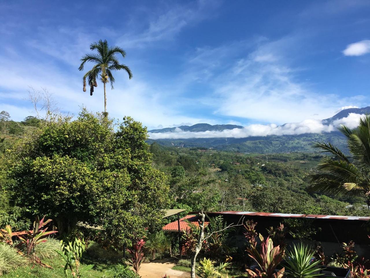 Green Mountain And Lodge Turrialba Esterno foto
