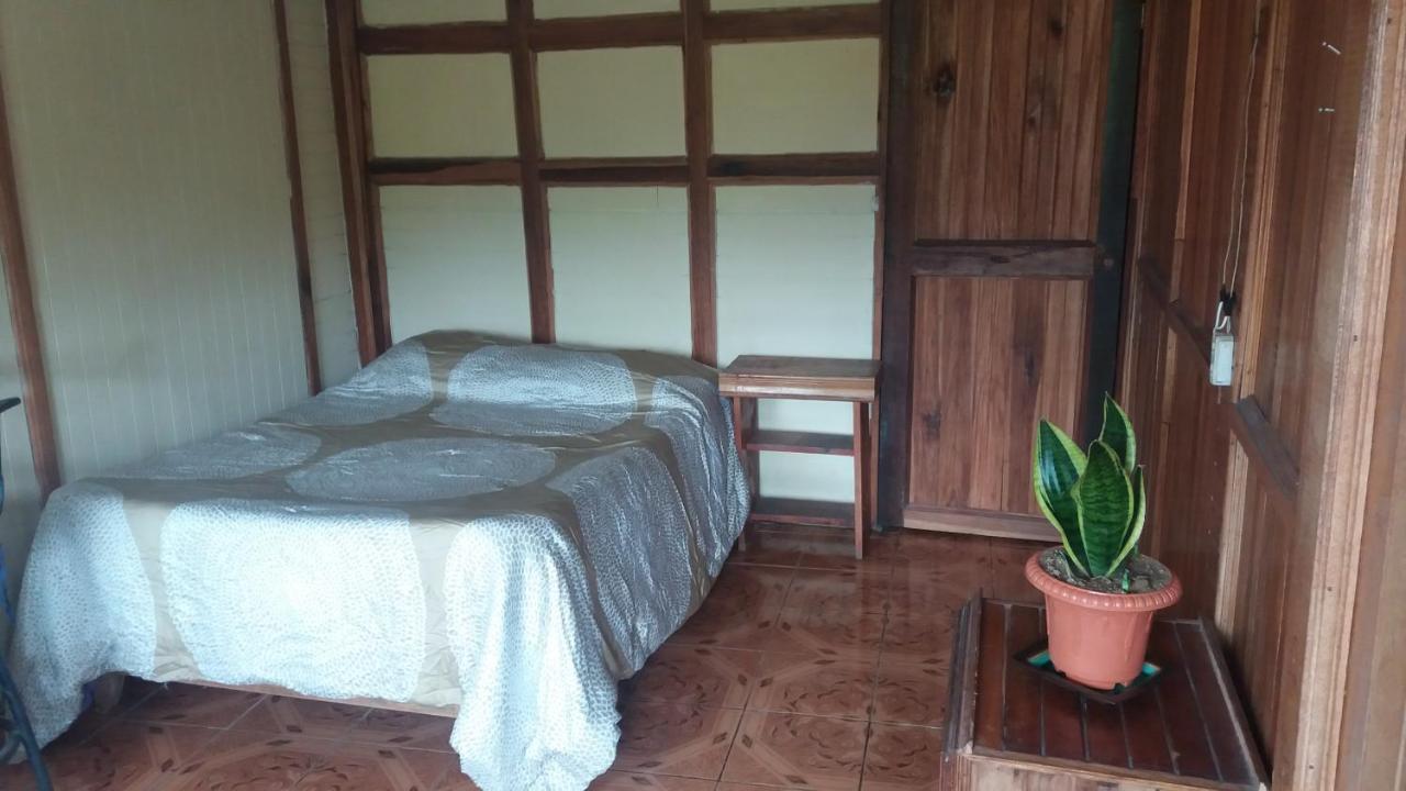 Green Mountain And Lodge Turrialba Esterno foto