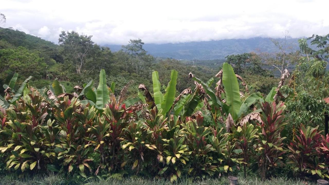 Green Mountain And Lodge Turrialba Esterno foto