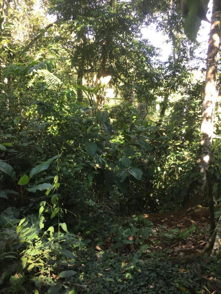 Green Mountain And Lodge Turrialba Esterno foto